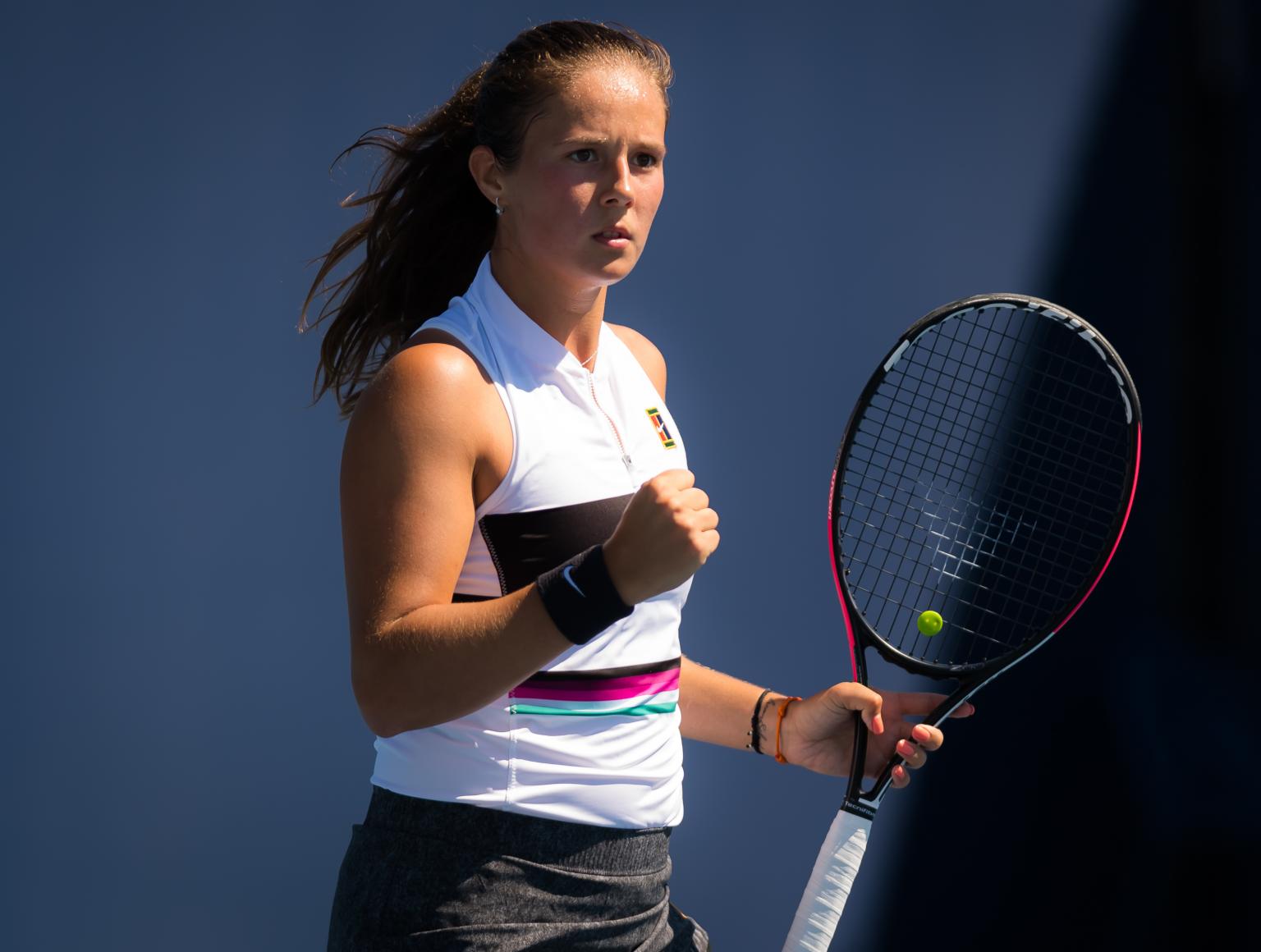 詹姆斯的案 詹姆斯的案